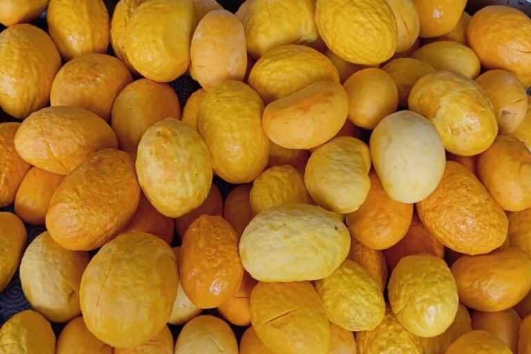 Pequi é fonte de renda extra para empreendedores rurais em Ribeirão Cascalheira 4