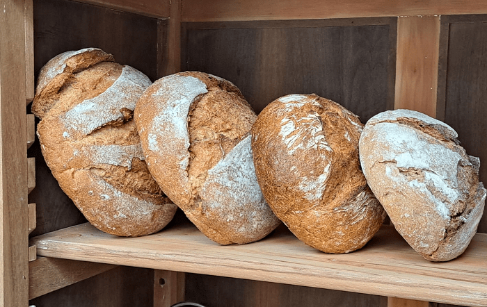 Broas-de-Centeio-de-Curitiba-02- divulgação Sebrae-site