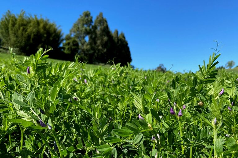 0 – FOTO ABRE article (1) – Copia