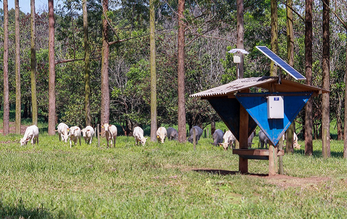 Foto-Juliana Sussai-editado