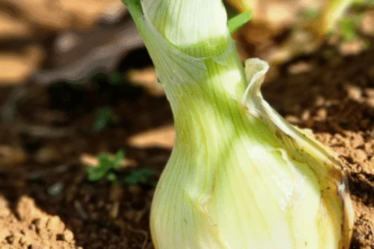 Sem nome (Post para Facebook)