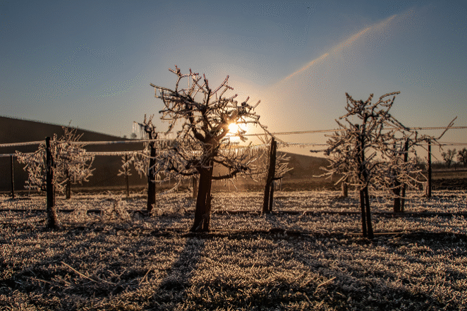 shutterstock_capa-divulgação-editado