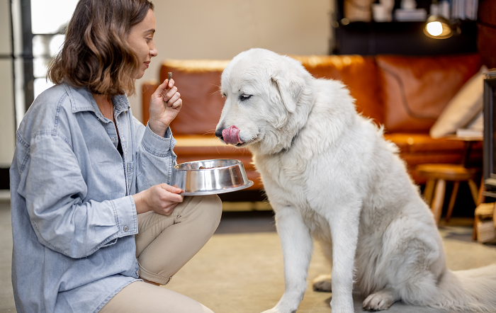 woman-feeding-a-dog-with-dry-food-divulgação