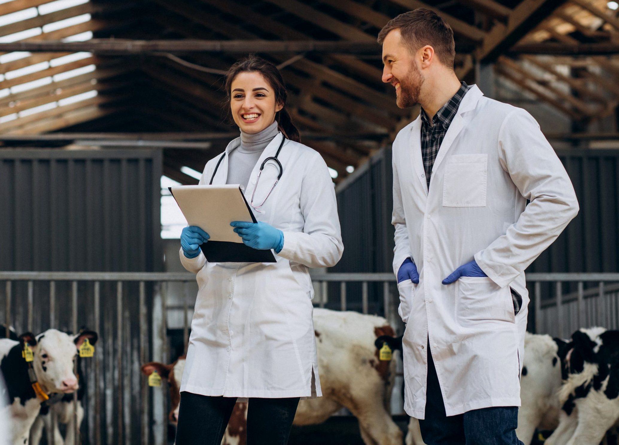 Atuação do médico-veterinário é essencial para a segurança dos alimentos