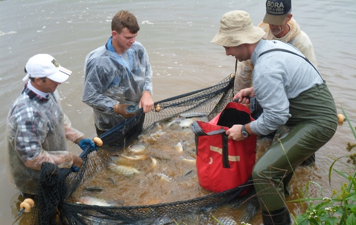 3 – pisicultura-editado