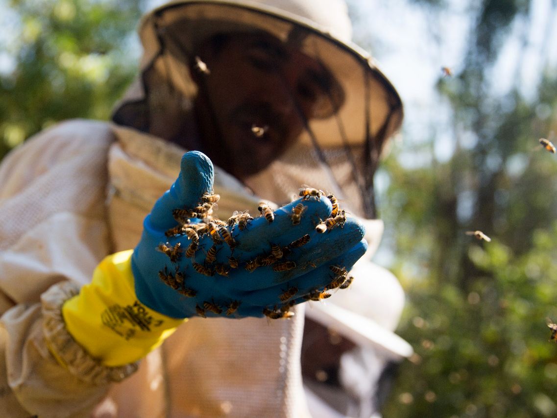 0 FOTO ABRE -Mel Vale Paraíba IG – Copia