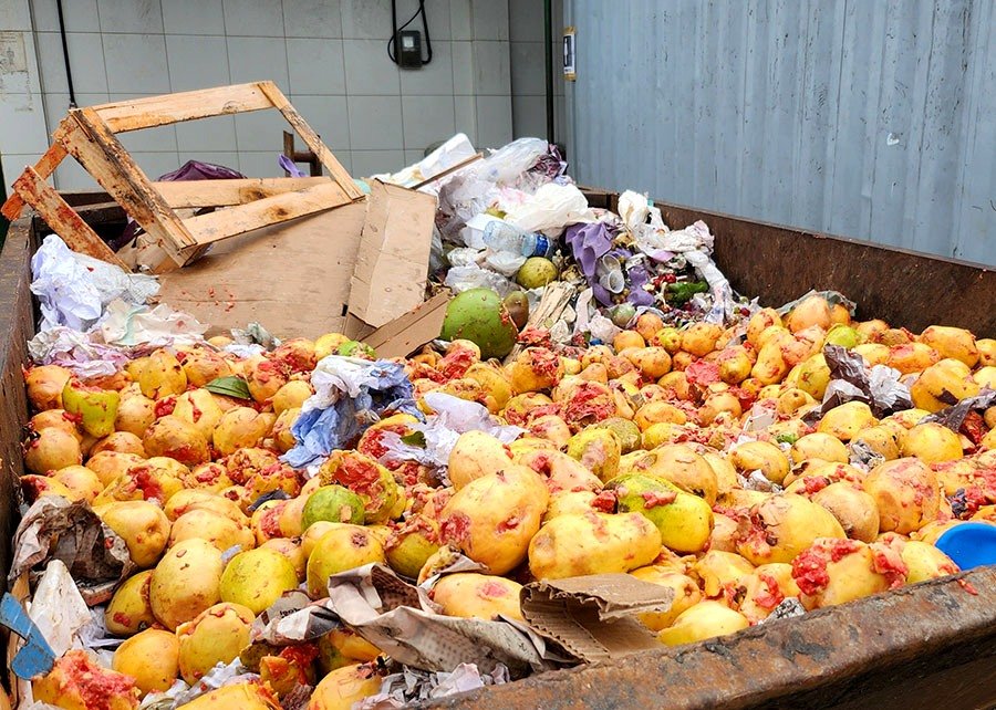 Inovação aumenta a produção de biogás a partir de resíduos orgânicos