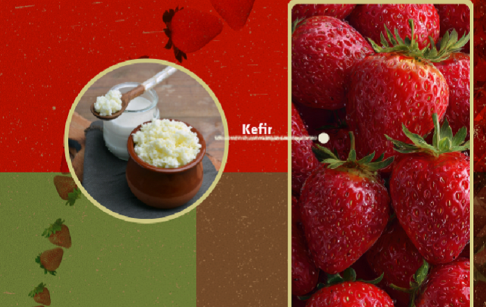 Pesquisa caracteriza ação de derivado do kefir na conservação de morangos
