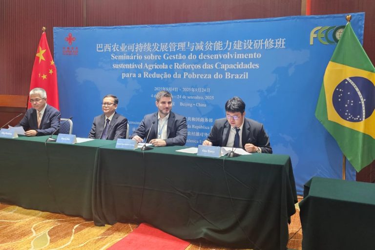 Seminario-Brasil-China-6-1