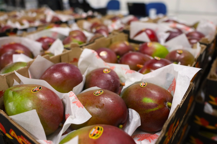 Tarifaço dos EUA atinge exportações brasileiras de frutas e tilápia