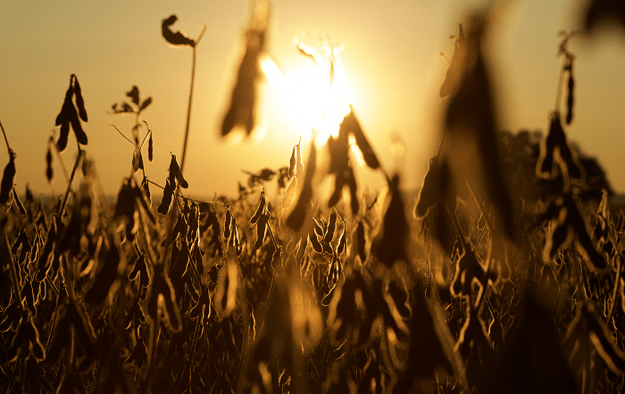 credito-imagem-Liam-Michaels-Pixabay-editado