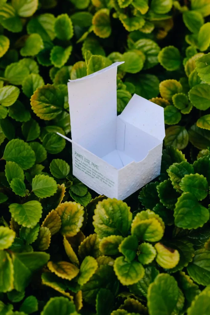 Empresa transforma papel reciclado em plantas