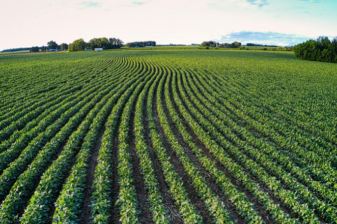 Pexels-Tom Fisk-editado