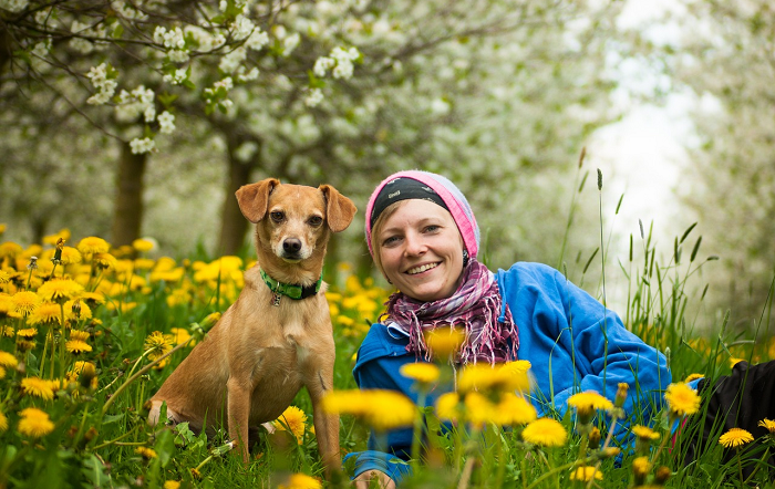 Outubro Rosa: projeto social conta com auxílio de cães na detecção do câncer de mama