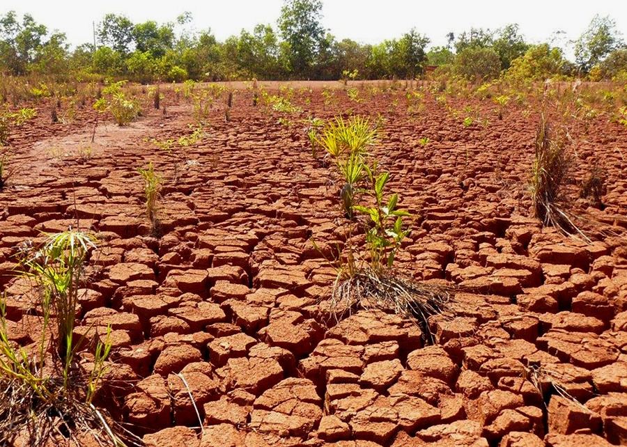 0 – FOTO ABRE — Copia