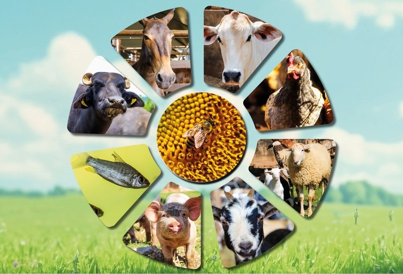 Já começou a Campanha de atualização obrigatória para todas as espécies