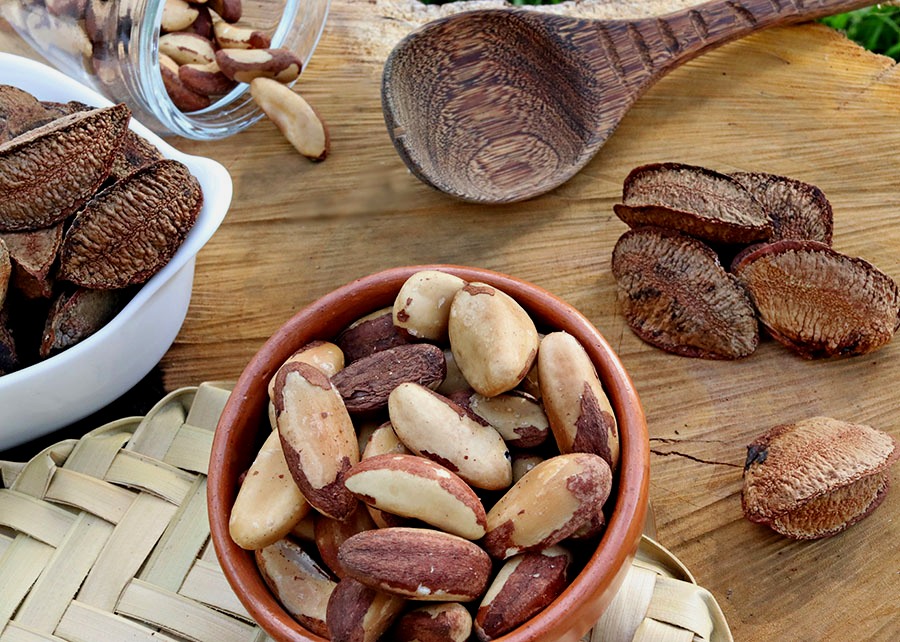 0 – FOTO ABRE – Castanha-do-brasil Ft Ronaldo Rosa Embrapa – Copia (1)