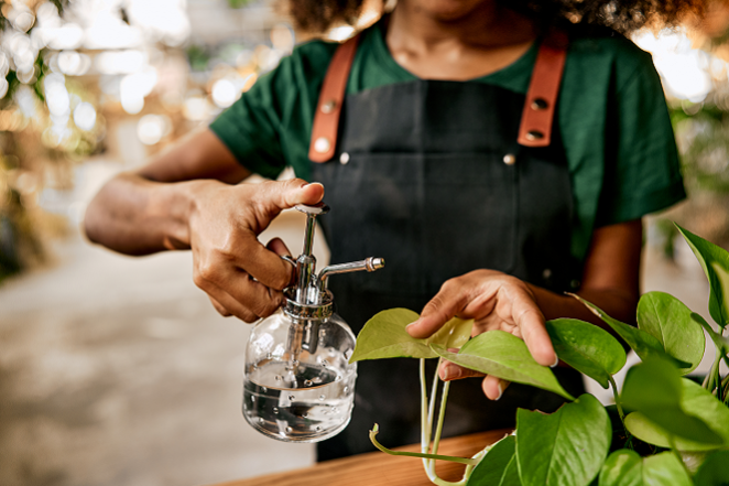 divulgação-utc-editado