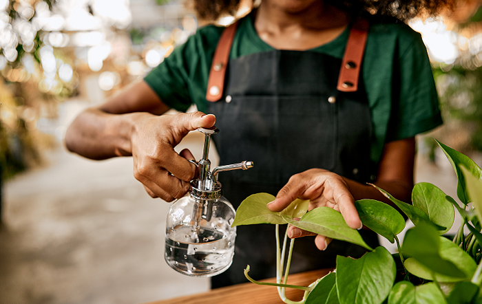 divulgação-utc-editado