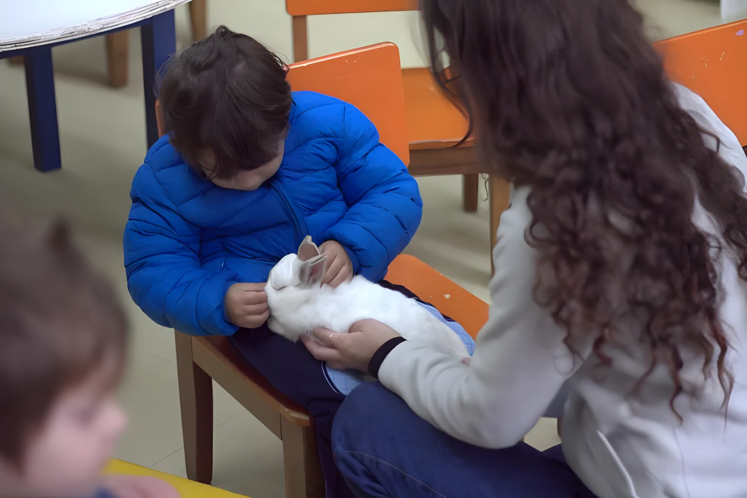 Coelhoterapia: animais ajudam no tratamento de pacientes com quadro neurodivergente