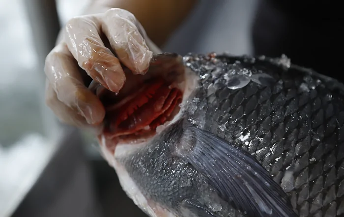 Foto-Jhonatan Cantarelle-Agência Saúde-DF-editado