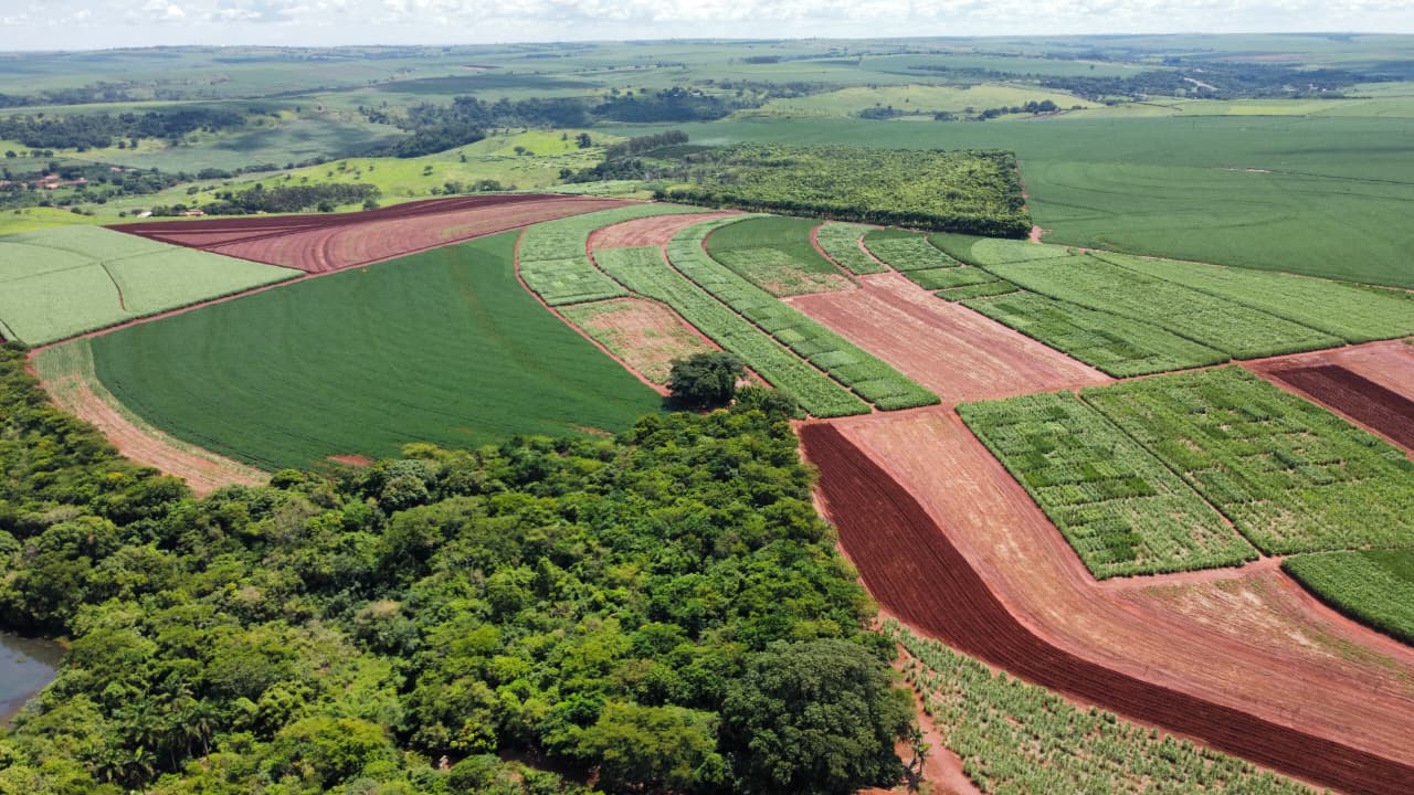 Especialistas recomendam técnicas para ganho na produtividade de cana