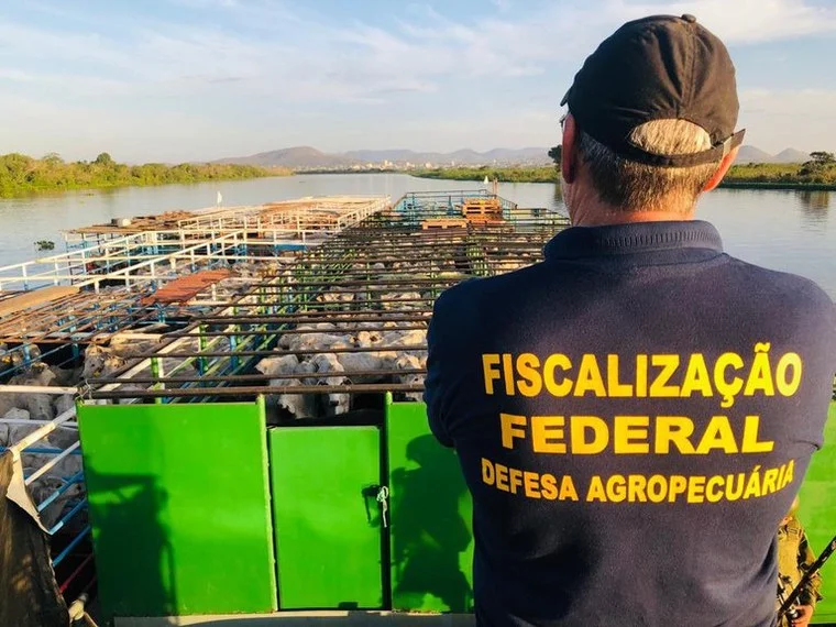 O que é a defesa agropecuária e por que ela é importante para o agro brasileiro?