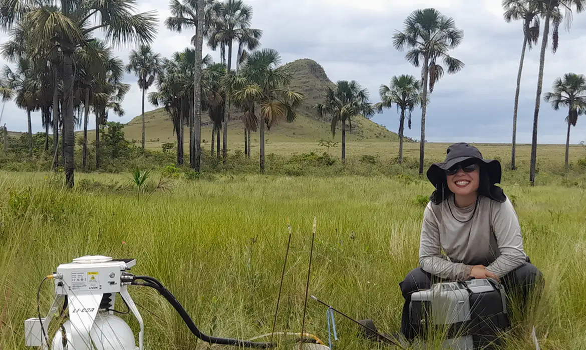 Cerrado pode armazenar até seis vezes mais carbono que a Amazônia, aponta estudo