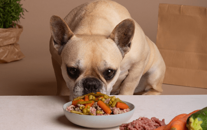 Foto-Divulgação A Quinta Pet