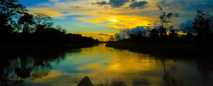 Pesquisadores mapeiam iniciativas na Amazônia que inspiram o futuro da inovação