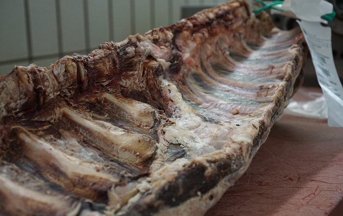 Carne brasileira: restrições da União Europeia terão forte impacto sobre o agronegócio