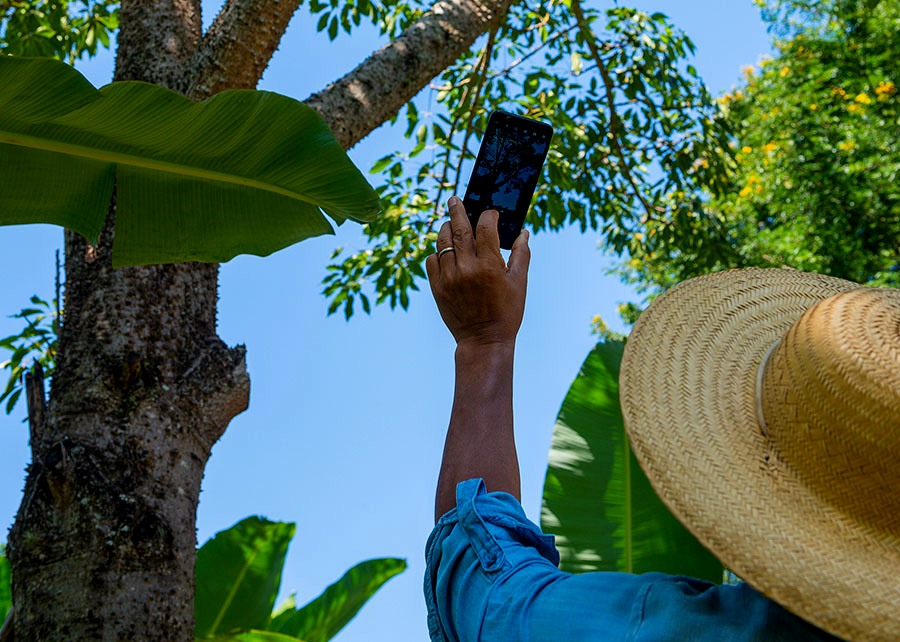Brasil concentra 78% das startups do agro na América Latina e no Caribe