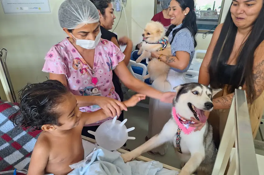 Cães levam alegria à pediatria e ajudam a transformar rotina hospitalar