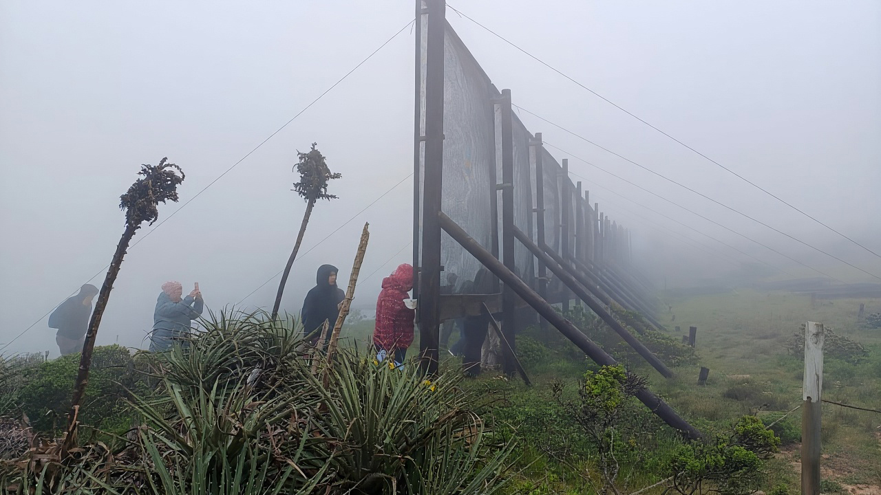 A fazenda que colhe neblina: comunidade agrícola no Chile transforma umidade do ar em água para sobreviver à seca