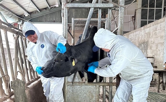 Resistência a antibióticos pode gerar perdas de US$ 318 bilhões na pecuária até 2040