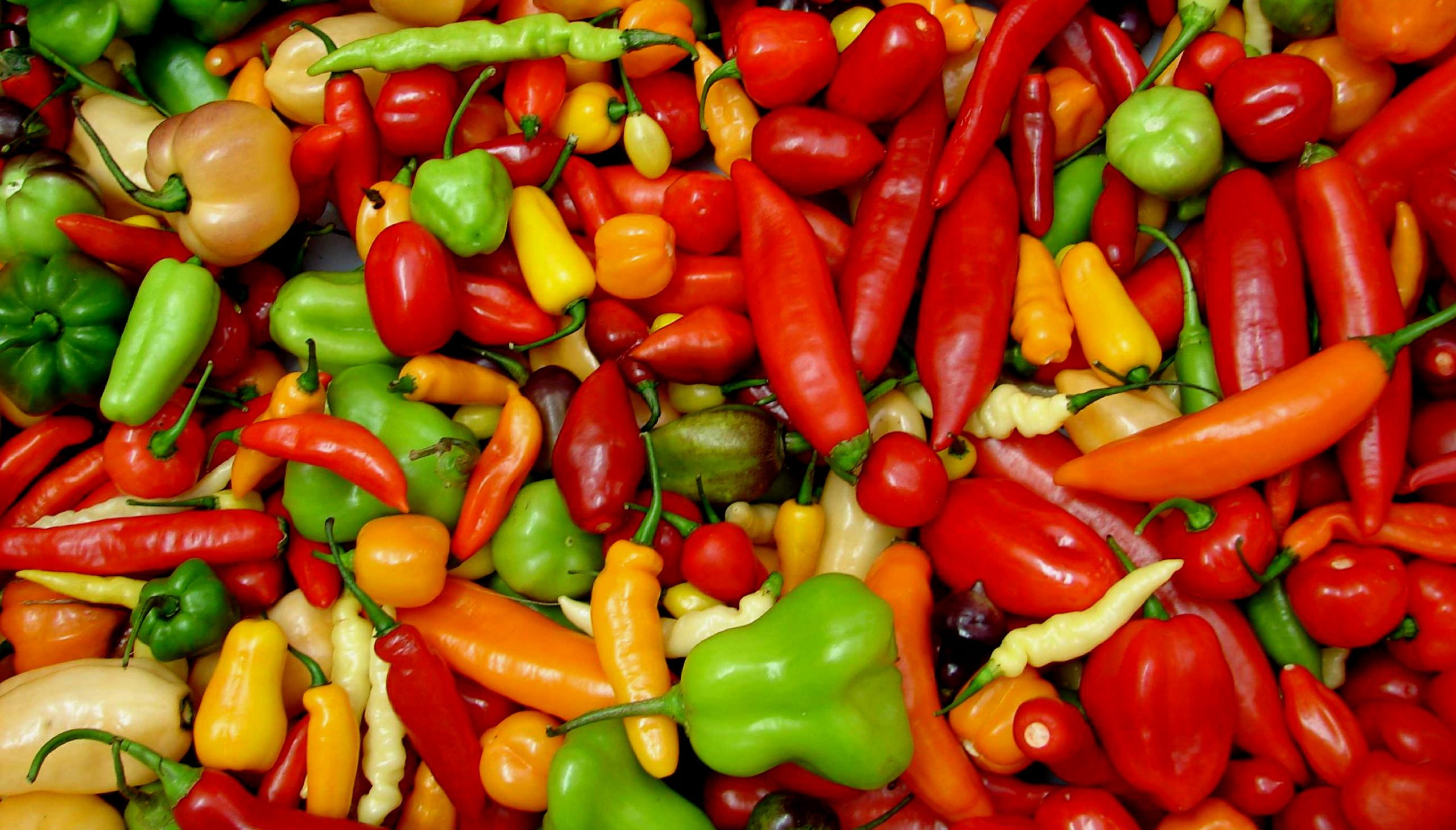Você conhece os tipos de pimenta e como utilizá-las na cozinha?