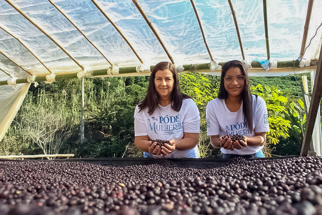 Mulheres da agricultura familiar transformam preservação da Mata Atlântica em renda