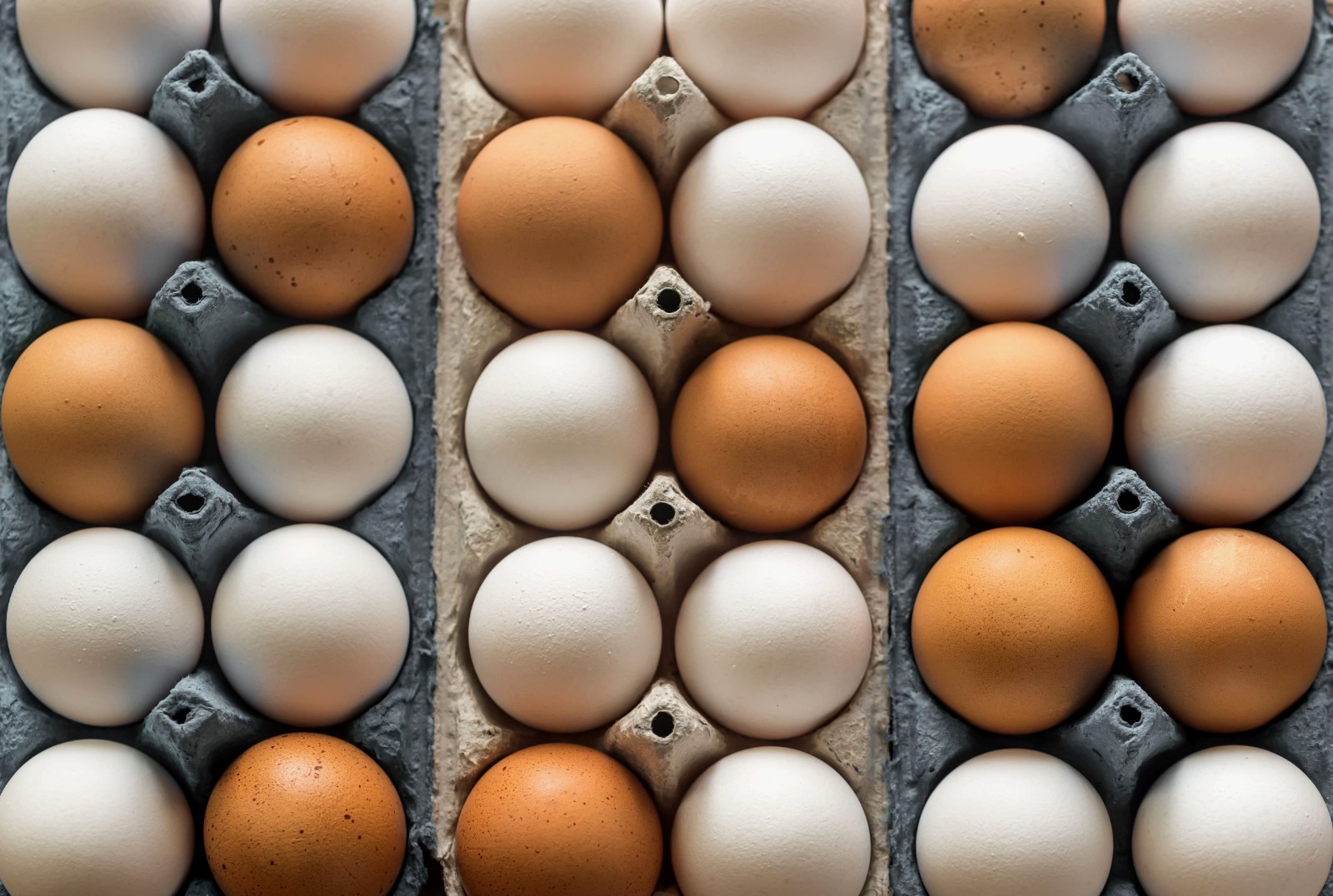 Você sabe o que é salmonela e como evitar a contaminação dos alimentos?