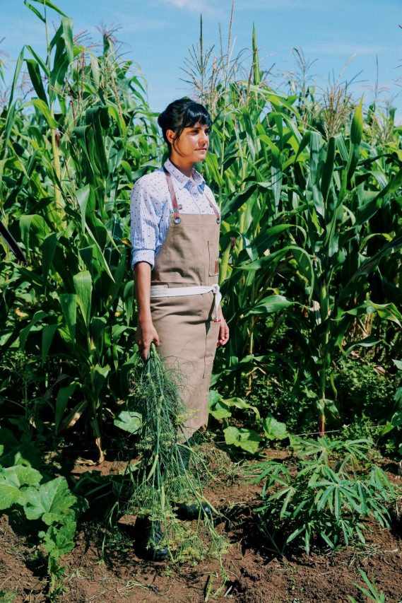 Do campo ao prato: como a gastronomia influencia cadeias produtivas e práticas agrícolas