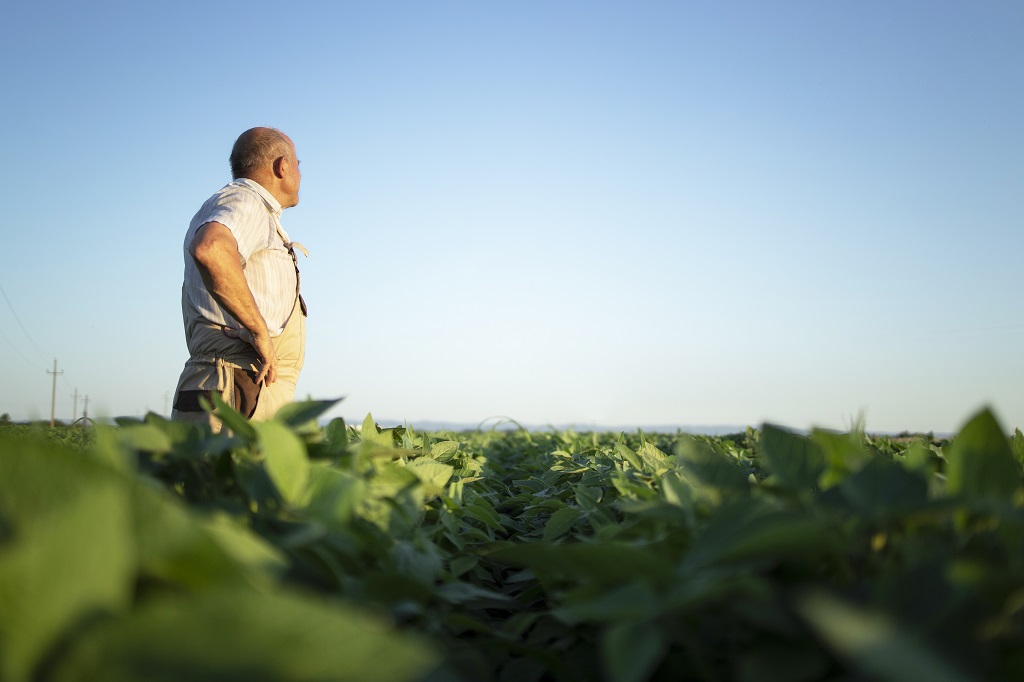CPR vencida não significa perda imediata da propriedade rural