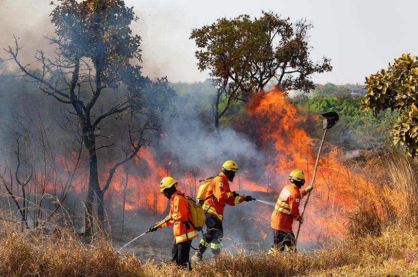 Produtor rural é crucial para prevenir queimadas durante El Niño