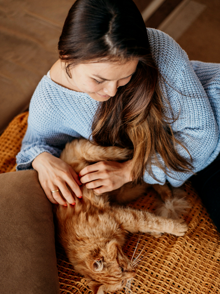 A comunicação invisível no bem-estar dos gatos: entenda como funcionam os feromônios felinos