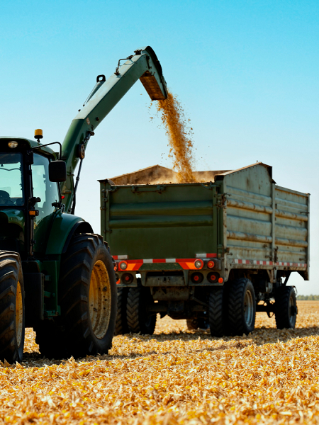 Safra de grãos 2026/27: retorno por hectare ganha peso no planejamento do produtor