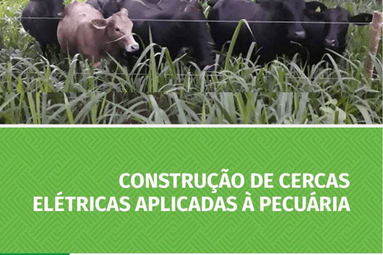 Cartilha Cerca