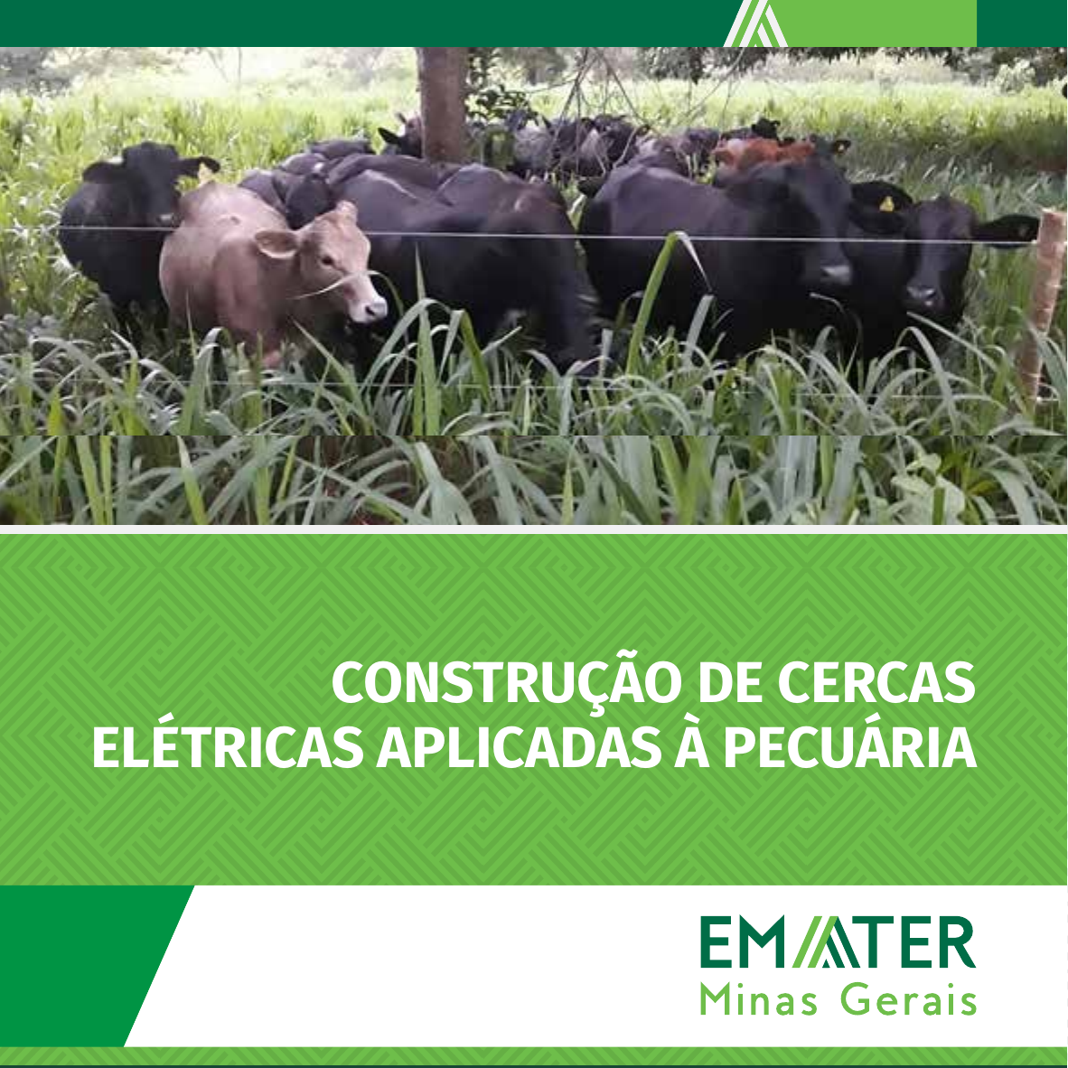 Cartilha da Emater-MG orienta pecuaristas sobre construção de cercas elétricas para manejo do rebanho